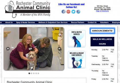 RochesterCommunityAnimalClinic.com web design by 6x6 Design, LLC