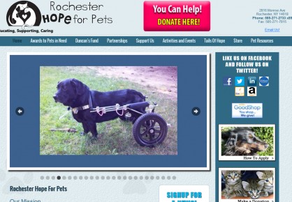 Rochesterhopeforpets.org web design by 6x6 Design, LLC